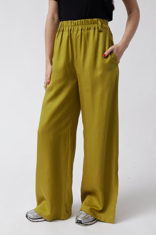 Nit Lime Pants