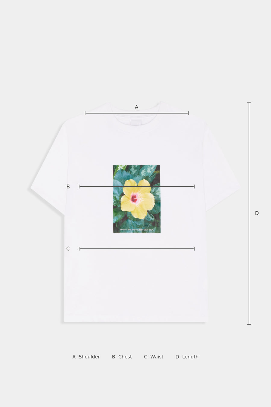 Size Guide – Kai T-Shirt
